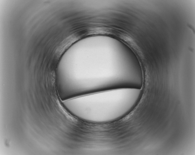 X0000102011233200807180904
