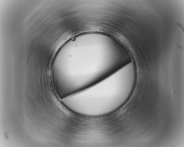 X0000102011234200807180904