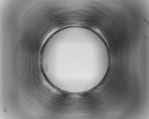 X0000102011235200807180904