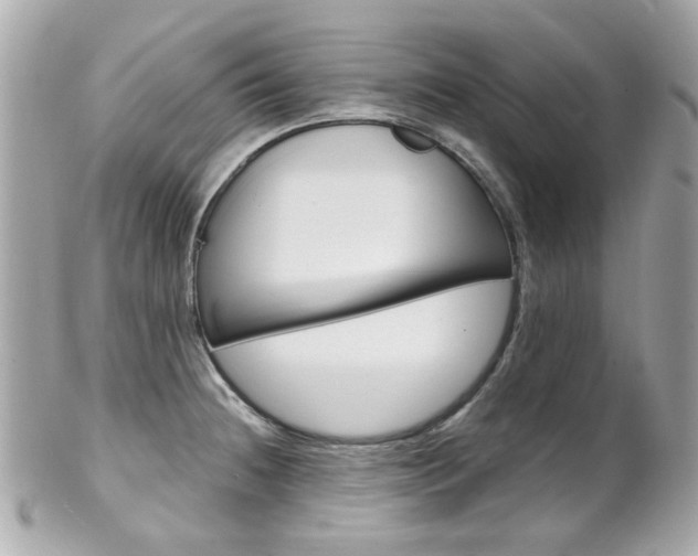 X0000102011236200807180904