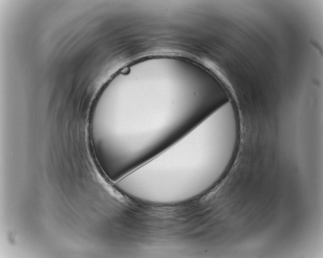 X0000102011237200807180904