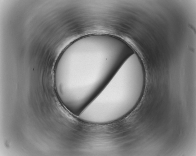 X0000102011238200807180904