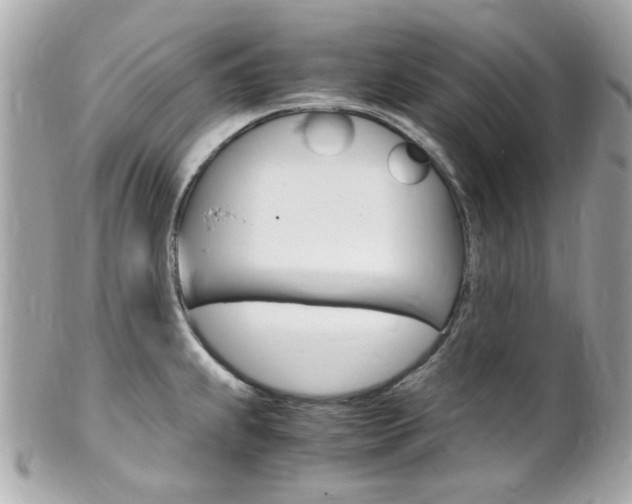X0000102011239200807180904