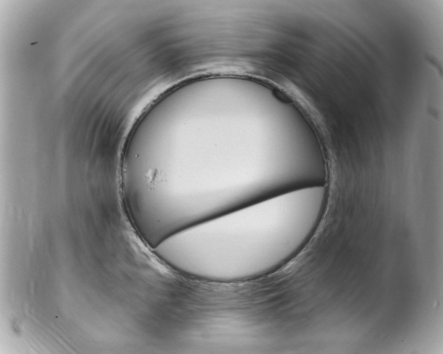 X0000102011240200807180904