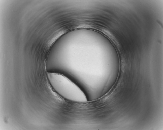 X0000102011241200807180904