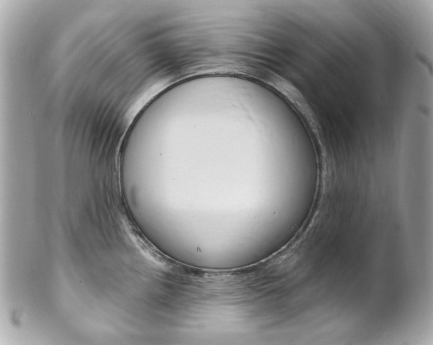 X0000102011242200807180904