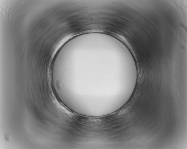 X0000102011243200807180904