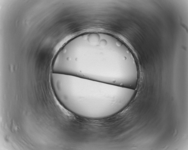 X0000102011245200807180904