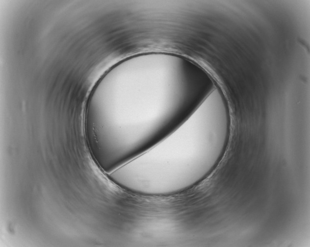 X0000102011246200807180904