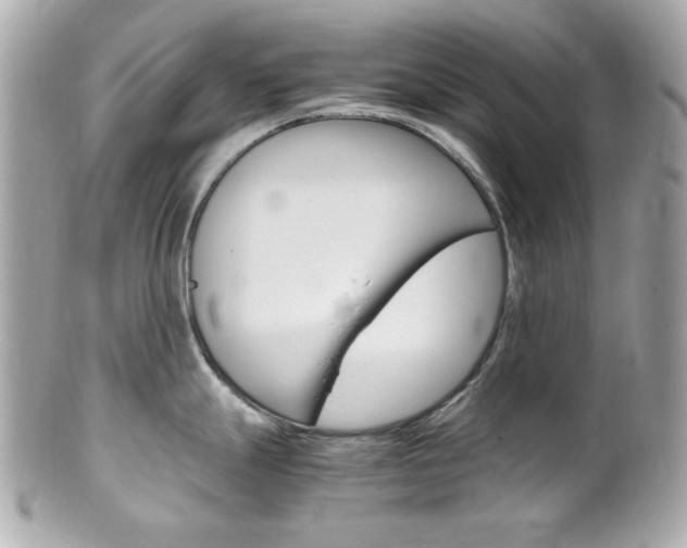 X0000102011247200807180904