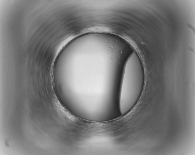 X0000102011248200807180904