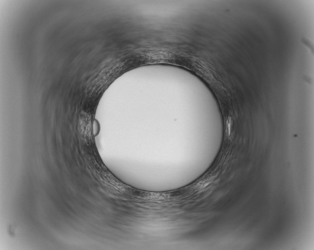X0000102011251200807180903