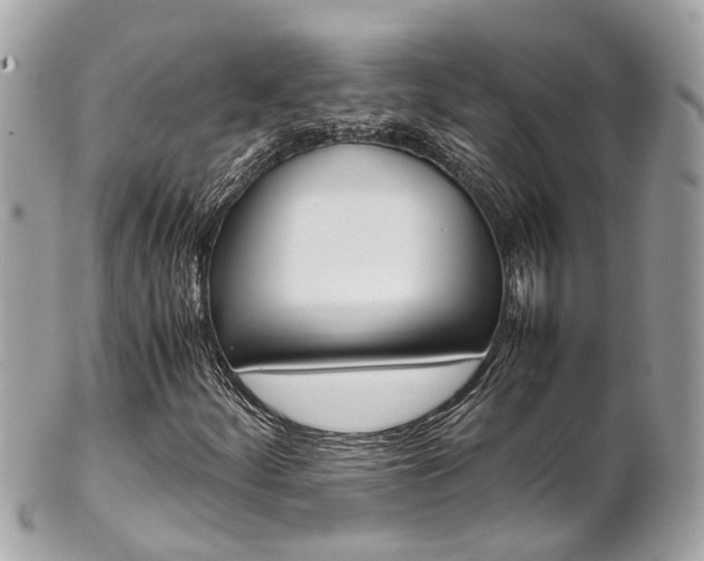 X0000102011252200807180903