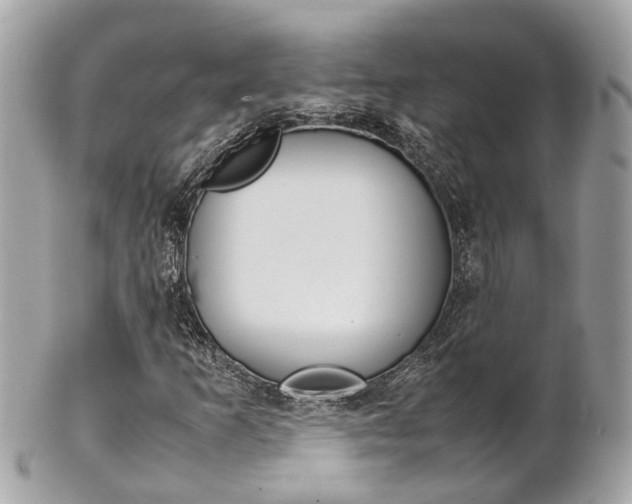 X0000102011253200807180903