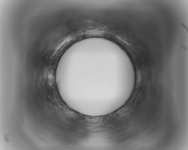 X0000102011254200807180903