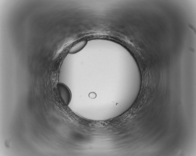 X0000102011255200807180903