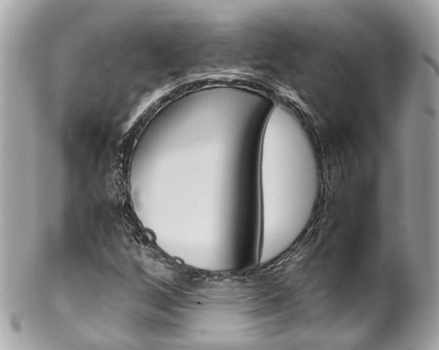 X0000102011256200807180903