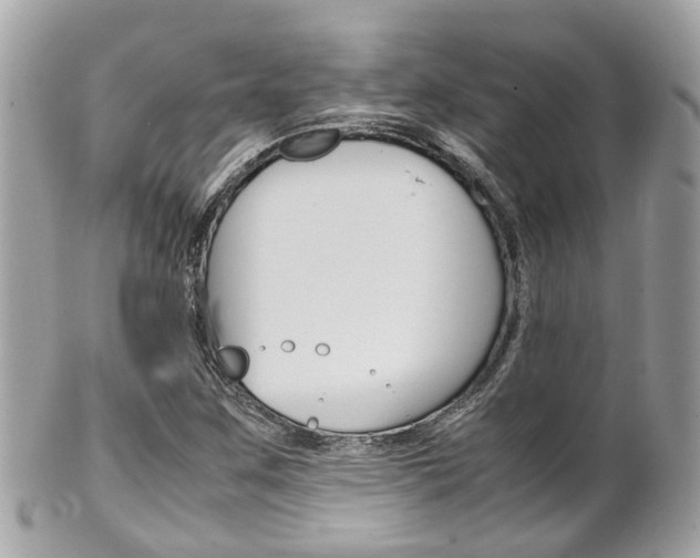 X0000102011259200807180903