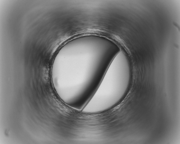 X0000102011260200807180903
