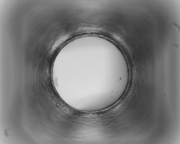 X0000102011261200807180903