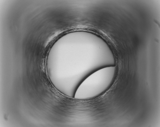 X0000102011262200807180903