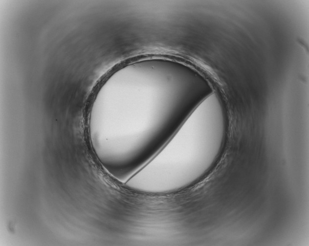 X0000102011264200807180903