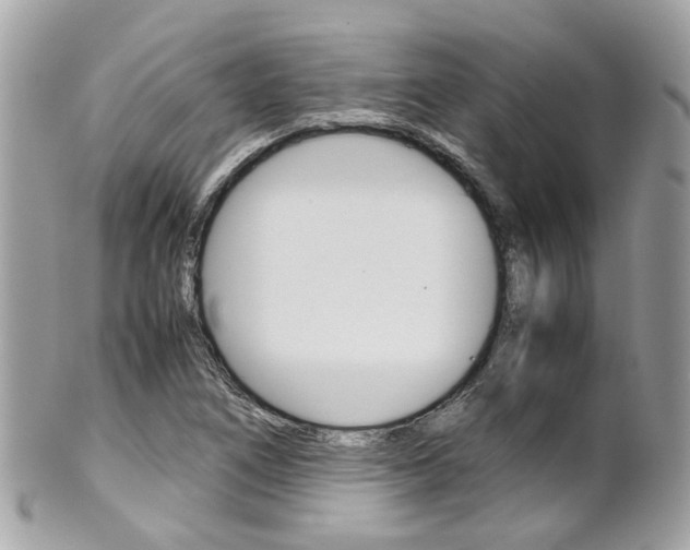 X0000102011266200807180903