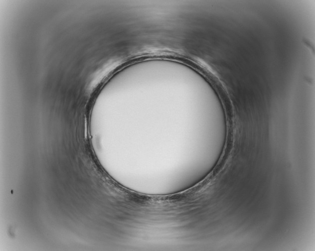 X0000102011269200807180903