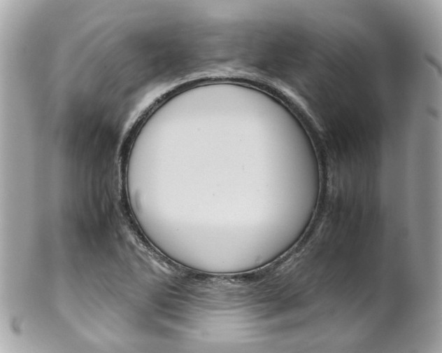 X0000102011270200807180903