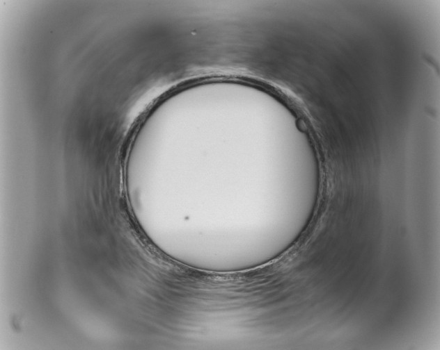 X0000102011271200807180903