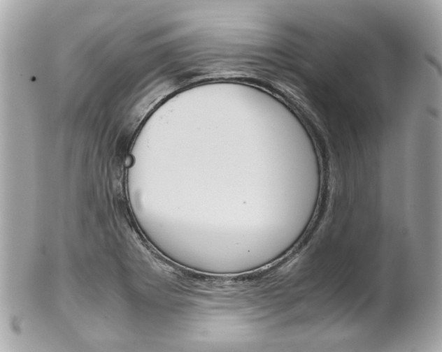 X0000102011273200807180903