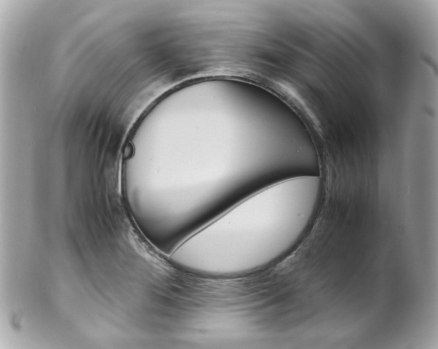 X0000102011276200807180903