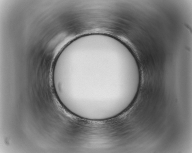 X0000102011278200807180903