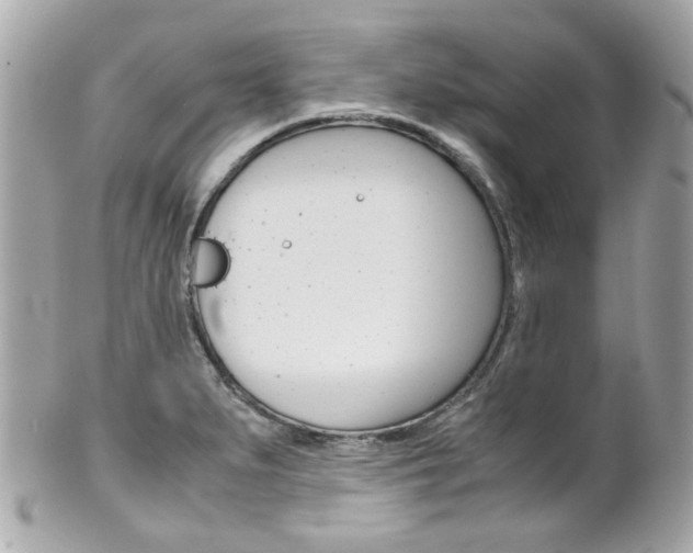 X0000102011279200807180903