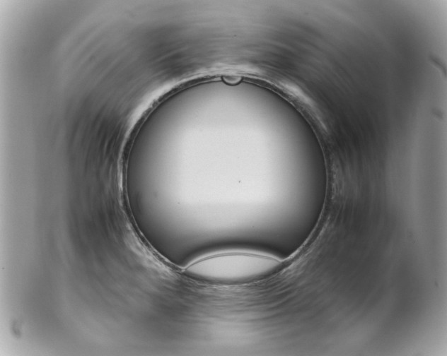 X0000102011280200807180903