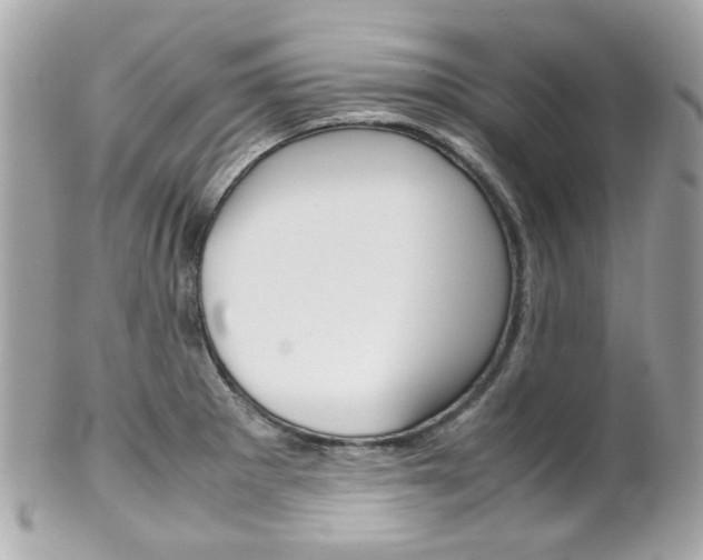 X0000102011281200807180903