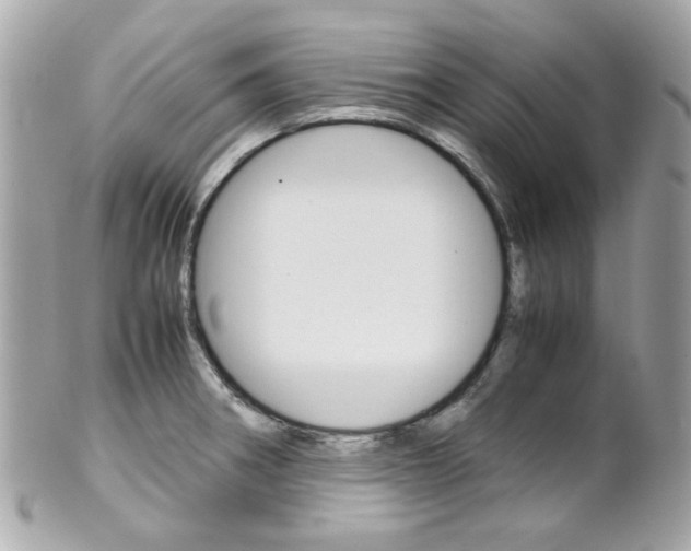 X0000102011282200807180903