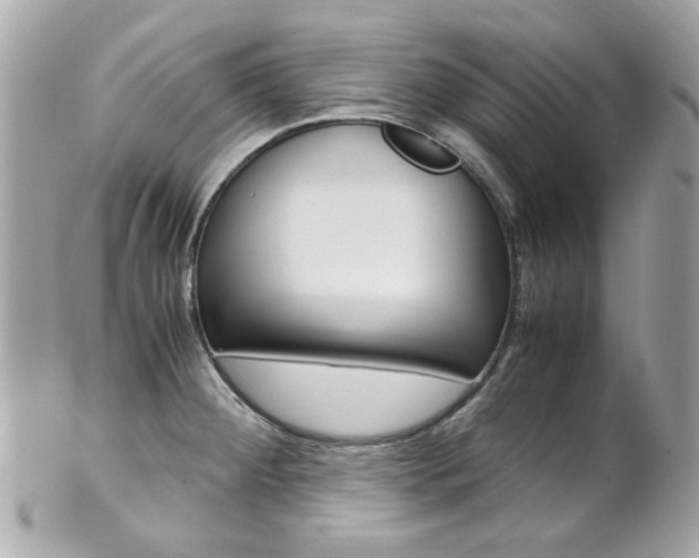 X0000102011284200807180903