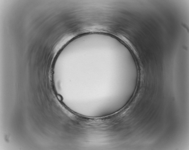 X0000102011285200807180903