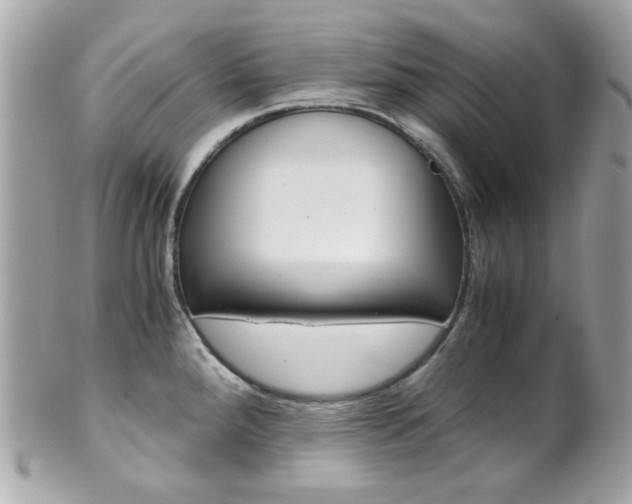 X0000102011288200807180903