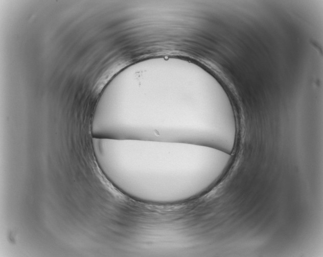 X0000102011289200807180903