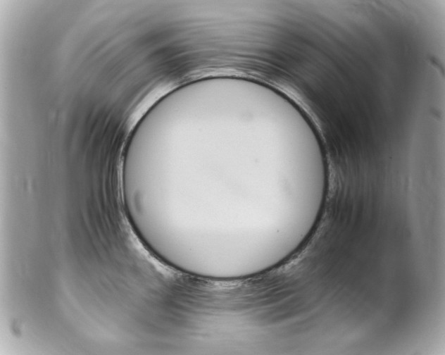 X0000102011290200807180903