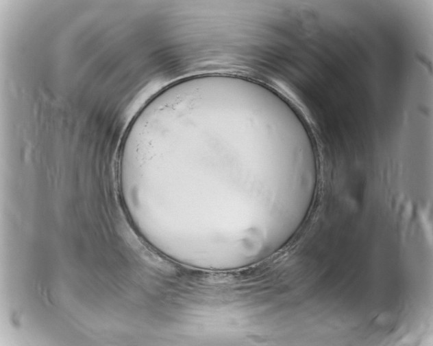 X0000102011291200807180903