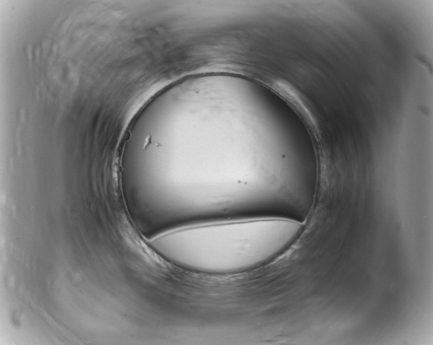 X0000102011292200807180903