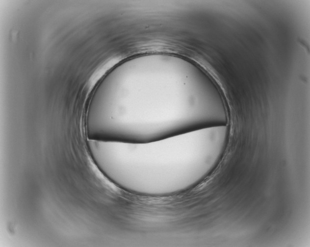X0000102011293200807180903