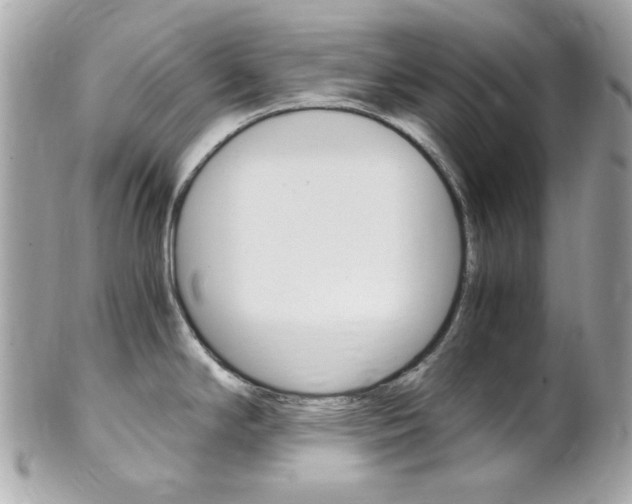 X0000102011294200807180903