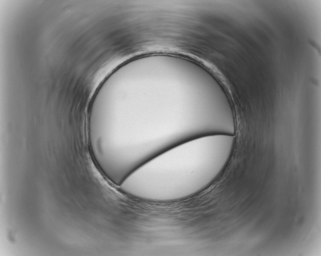 X0000102011295200807180903