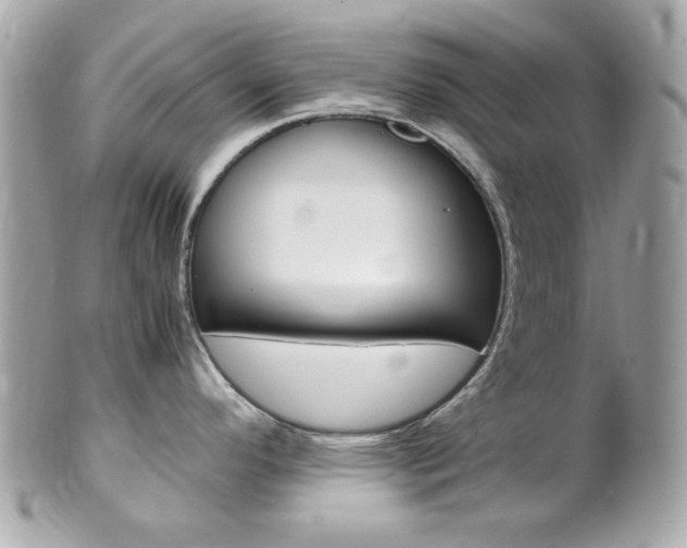 X0000102011296200807180903