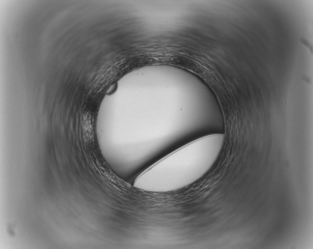 X0000102011298200807180902