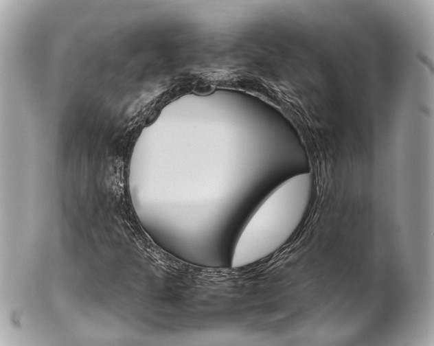 X0000102011301200807180902